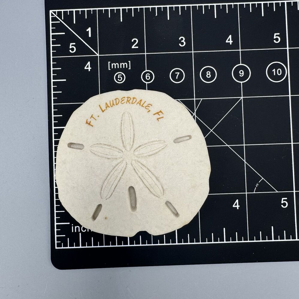Clay Critters 1998 Ft Lauderdale FL Sand Dollar 3D Refrigerator Magnet Souvenir